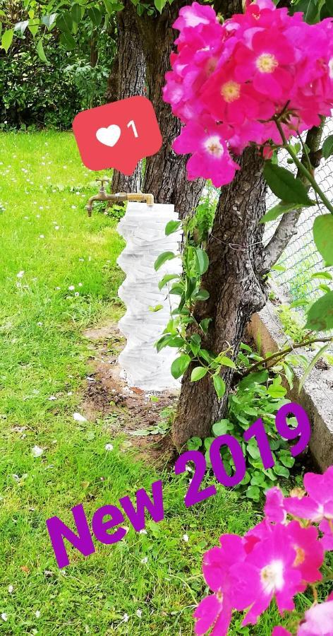 Casa Mite Leilighet Pietrasanta Eksteriør bilde